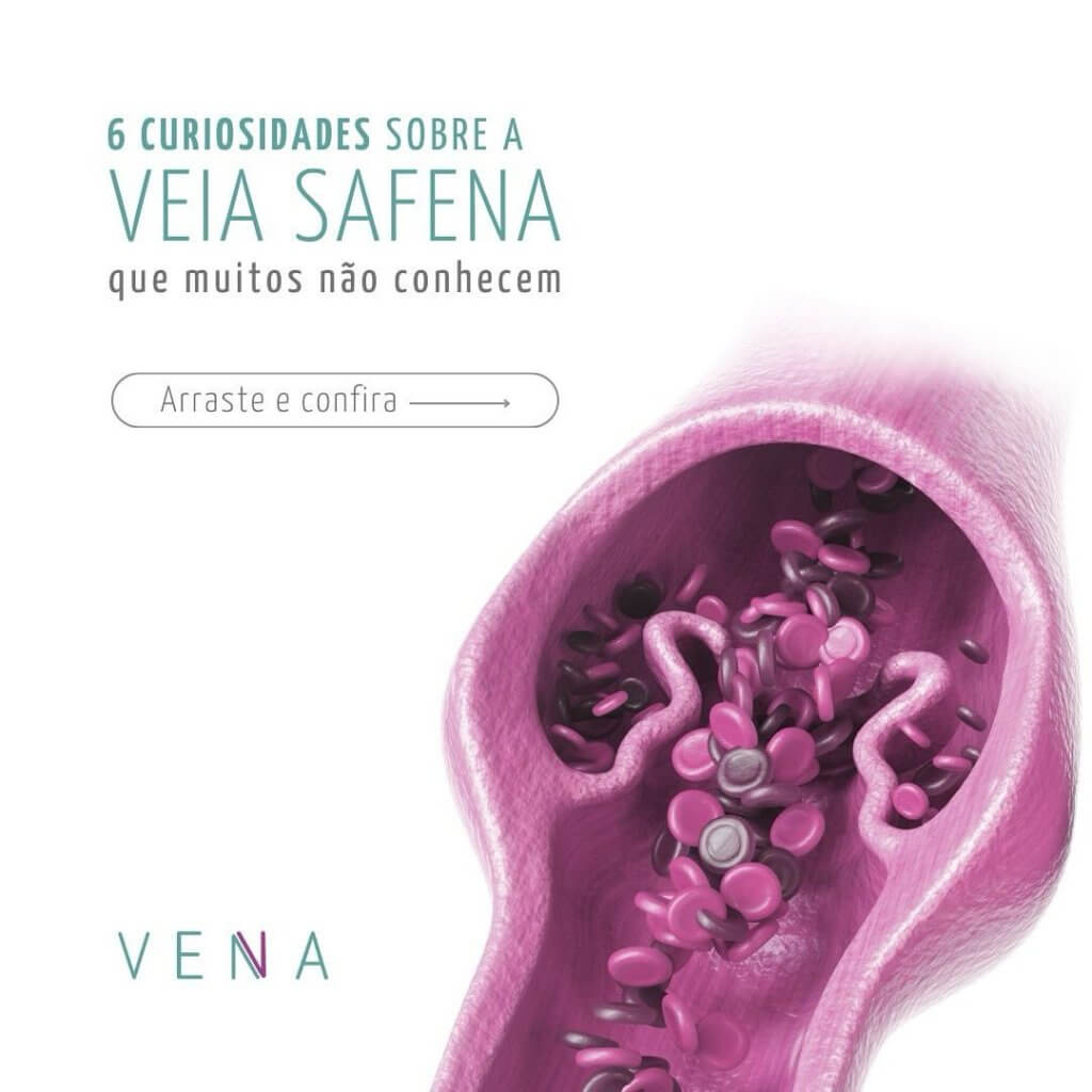 veia-safena