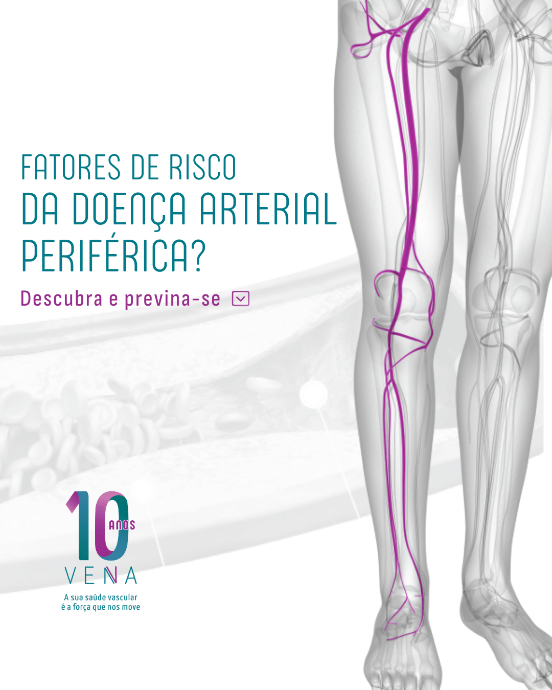 fatores-de-risco-da-dap